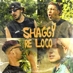 SHAGGY RE LOCO