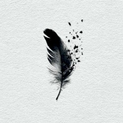 Raven Opened The Sky
