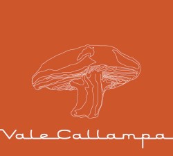 Vale callampa
