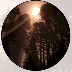 Moonlit Missive #110: Leaves Outlined in Moonglow