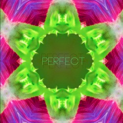 Perfect