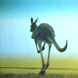 Kļ½ļ½ļ½ļ½ļ½ļ½ļ½