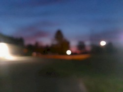 Fairchild-Early Morning-420-2025