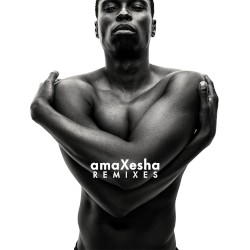 amaXesha (remixes)