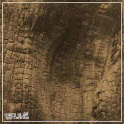 Charred Hollow