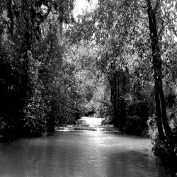 Le fleuve est mort…