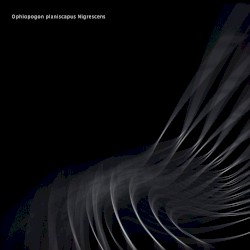 Ophiopogon planiscapus Nigrescens