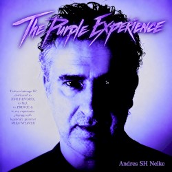 THE PURPLE EXPERIENCE
