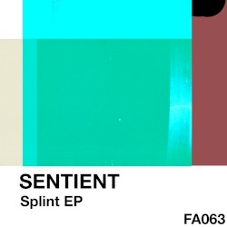 Splint EP