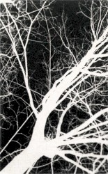 On the Edge of Shadows