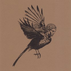 What Kind of Bird Am I