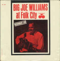 At Folk City