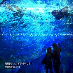 Subjectivity is Blue (Floppy Edition)