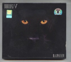黑豹V (Black Panther V)