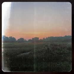 Their / They're / Three