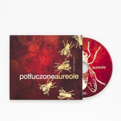 Potłuczone Aureole