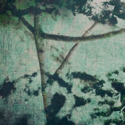 Suspension of Belief