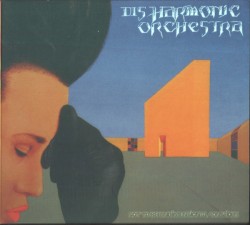 Not to Be Undimensional Conscious