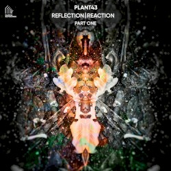 Reflection | Reaction – Part One