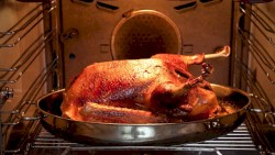 Mole Cooks His Goose