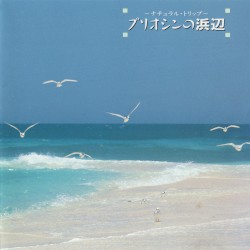 プリオシンの浜辺