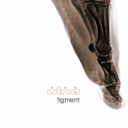 Ligment