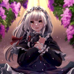 flawless recollections