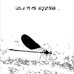 Qui a vu ce mystère…