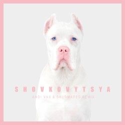 Shovkovytsya (Andi Vax & Shurmaped Remix)