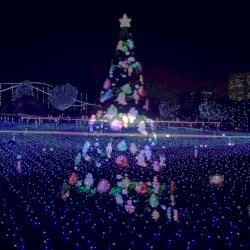 Merry Christmas Mr. Lawreance (Dachs Uplifting Trance Remichs)