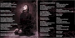 Mirror of Retribution