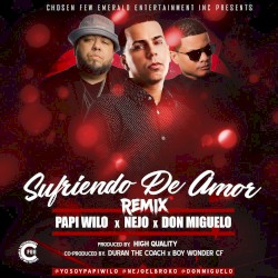 Sufriendo de amor (remix)