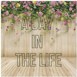 A Day in the Life