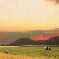 monotonousity / moonlight