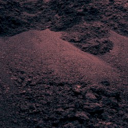 Ambient Experimentations: Tube Noise Generator and Forest Recordings With Kantele