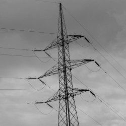 Frenzy of the Absolute