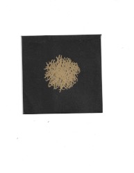 ༧༧༧༧༧༧༧༧༧༧༧༧