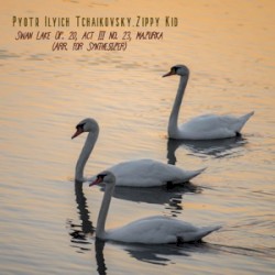 Swan Lake, Op. 20, Act III, No. 23: Mazurka (Arr. for Synthesizer)