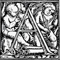 Anonymous v. Anasarca