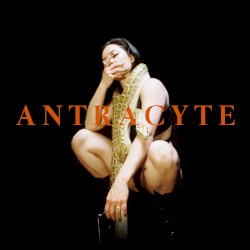 Antracyte