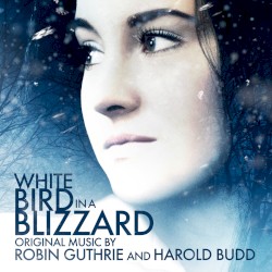 White Bird in a Blizzard
