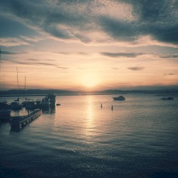 Autumn Brought Me Back