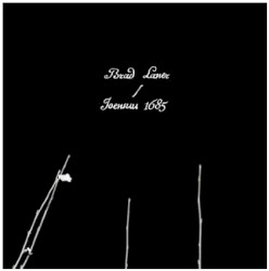 Brad Laner / Joensuu 1685