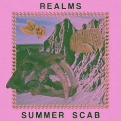 SUMMER SCAB