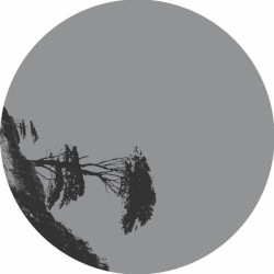 Momentum