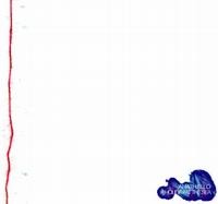 A Holiday at the Sea