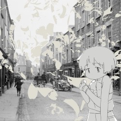 タオとタオタオ