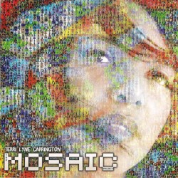 The Mosaic Project