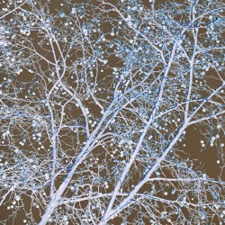 OBJECT OF DESIRE 004