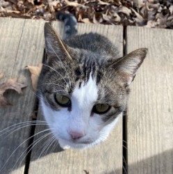 icanstillimagineeverysinglemotion.flm